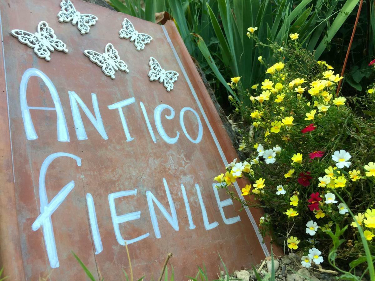 فيلا Antico Fienile Celleno المظهر الخارجي الصورة